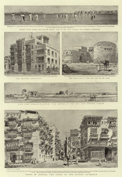 最近の集団発生の現場、ジッダの見解 作： Henry William Brewer